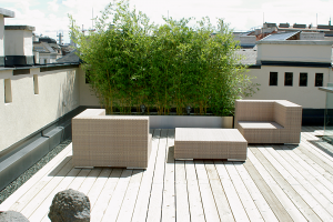 Dachterrasse